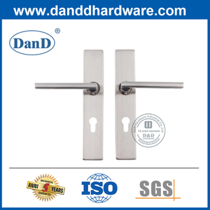 Edelstahl-Schlüsselloch-Türhebelgriff mit langer Backplate-DDTP007